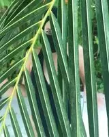 Elizabeth Hurley spreading her legs and bouncing around in a swimsuit for your fap session.