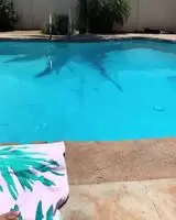 Beach Body
