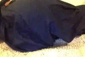 My ass is now open for business