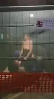 No Fucks Given