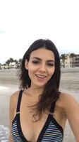 Victoria Justice completely owns my cock