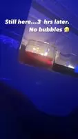 Who wants to join?