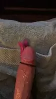Bzzzzzzz!