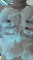 Milfy shower tits