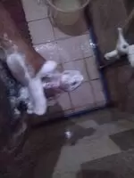 Cleaning my tool