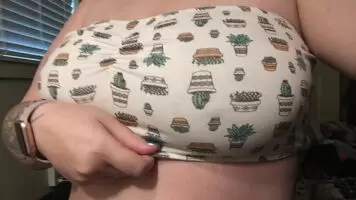 Showing off my cacti :D