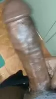 Associate white pussy with big black cock