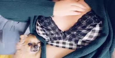 cue every comment being about my dog.