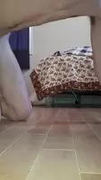 piss on all fours