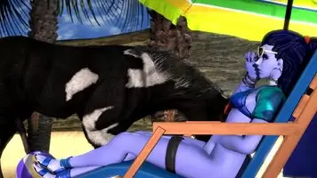 Widow's Horse Pleasure