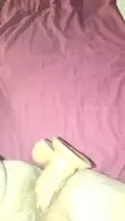 who wants a taste